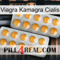 Viagra Kamagra Cialis levitra2